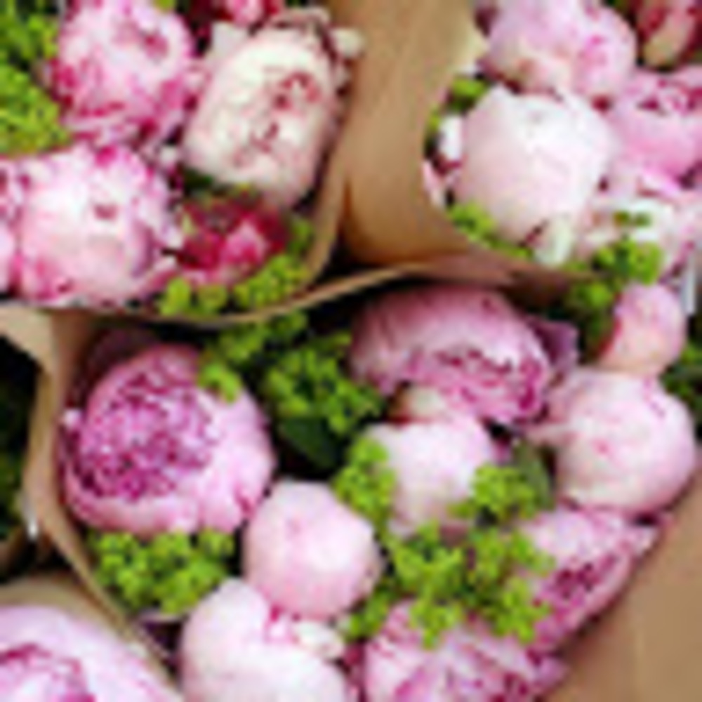 Meet your Posher, Gaby